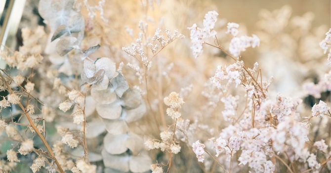 What's Going On When Your Hips Are Making Noise? image