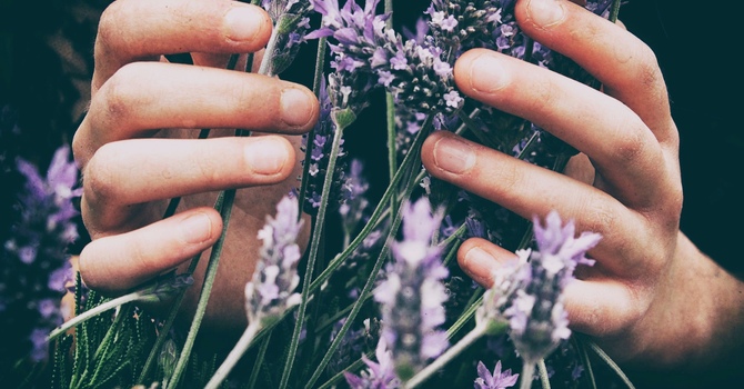 Ice Or Heat, Which Is Better When You're Hurt?